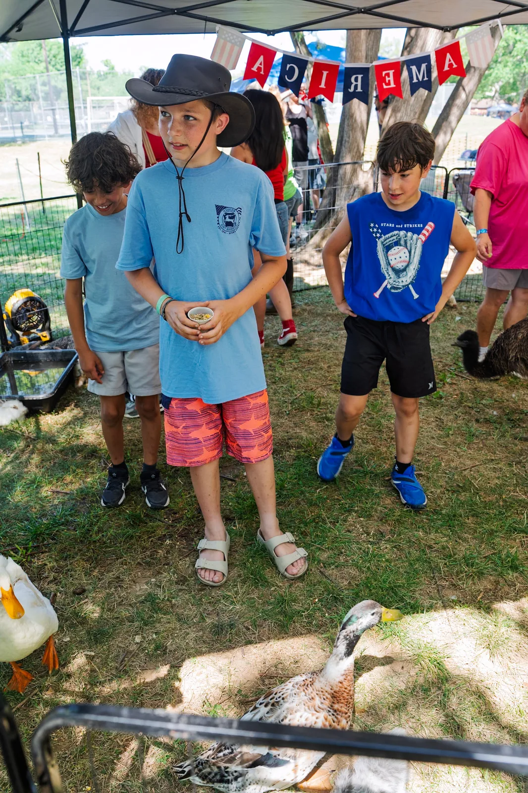 The kids checking out the ducks in the petting pen