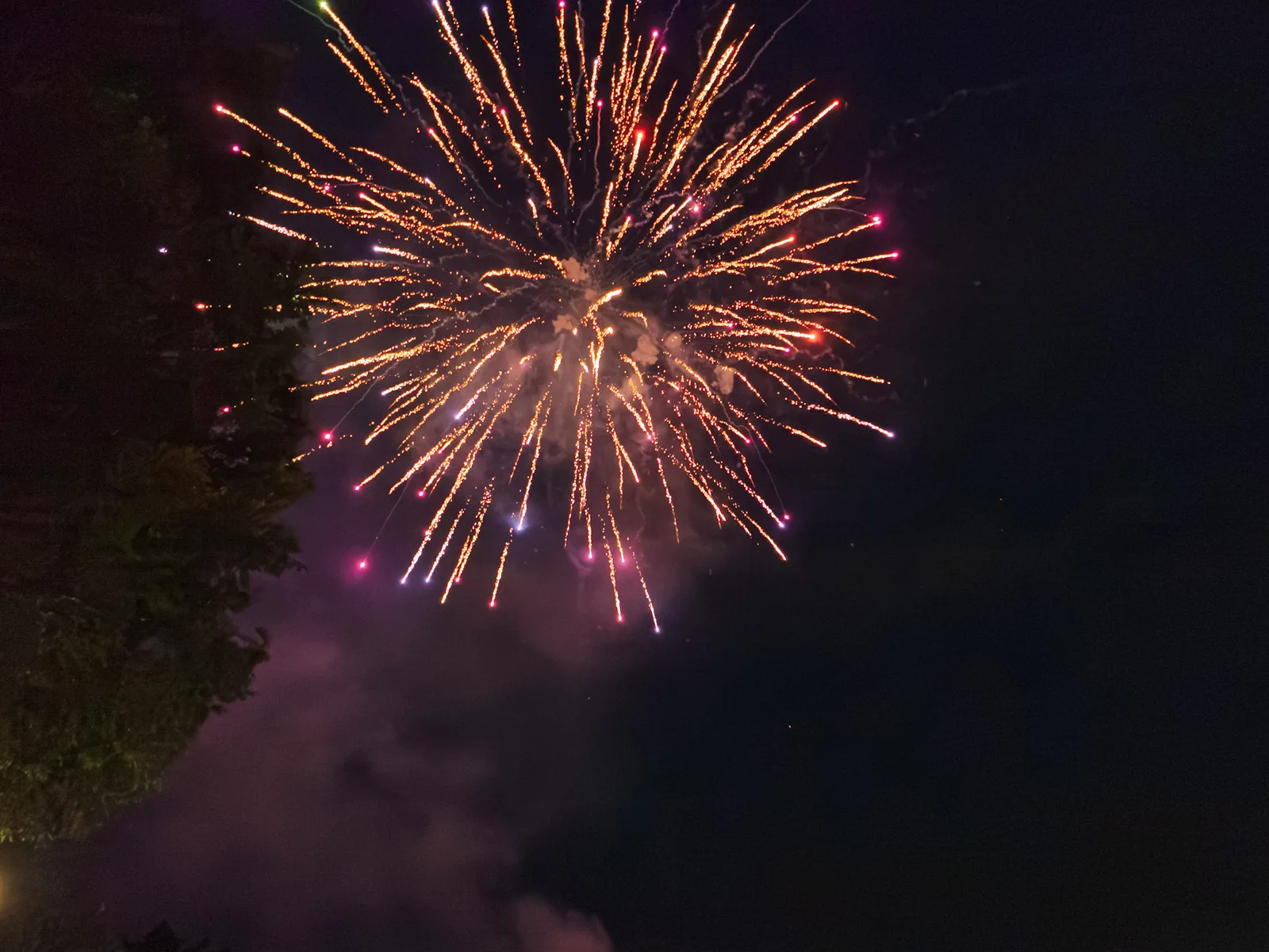 Fireworks bursting gold over the trees